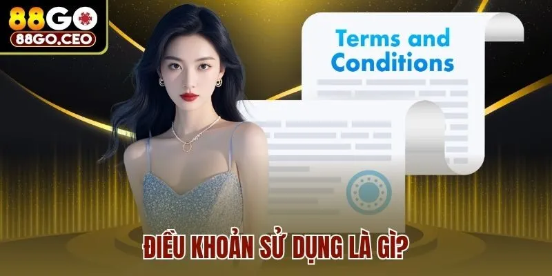 Điều khoản sử dụng là gì?