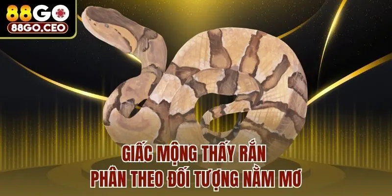 Giấc mộng thấy rắn phân theo đối tượng nằm mơ