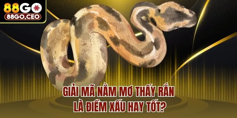 Giải mã nằm mơ thấy rắn là điềm xấu hay tốt?