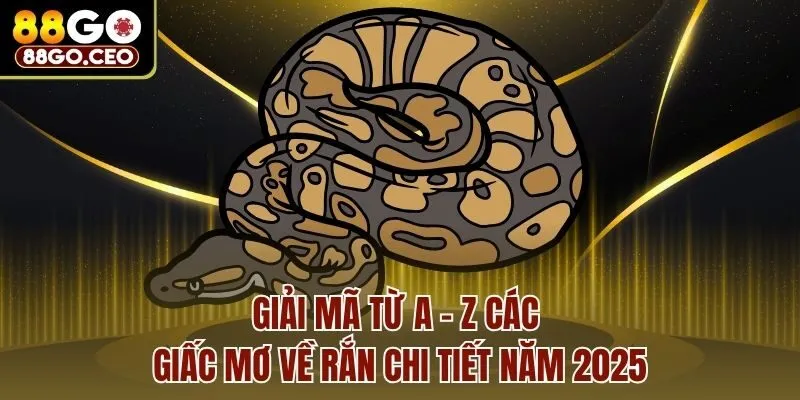 Giải mã từ A - Z các giấc mơ về rắn chi tiết năm 2025