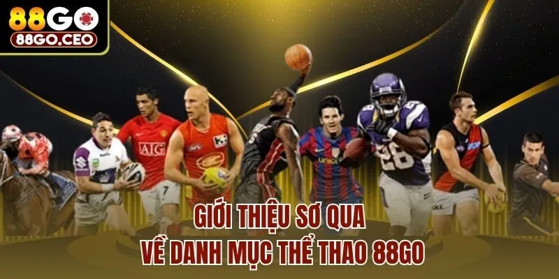 Giới thiệu sơ qua về danh mục thể thao 88go