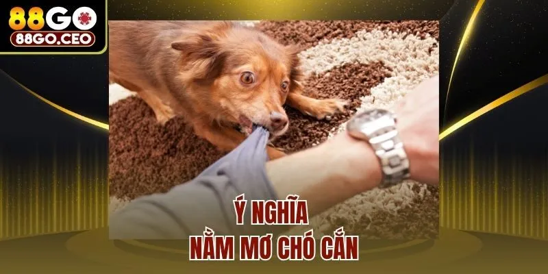 Ý nghĩa nằm mơ chó cắn